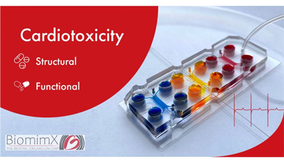 一村资本生态企业NMS集团Accelera与BiomimX签订合作协议 共同推进人体干细胞技术开发与应用