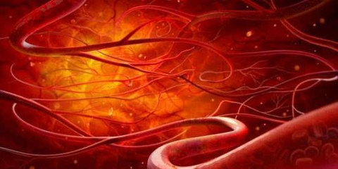 3D生物打印血管与干细胞技术 从灵长类成功迈向人类应用的曙光